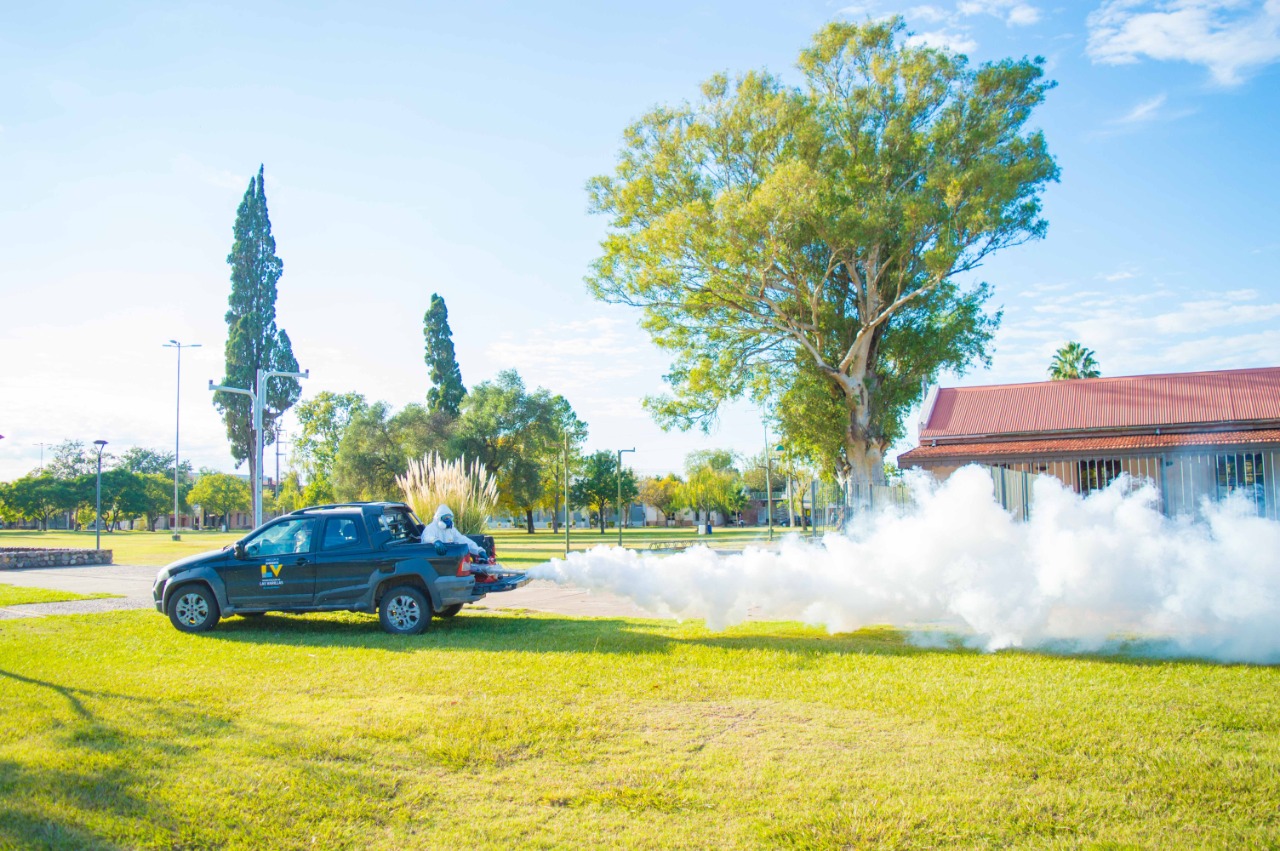 Lucha Contra el Dengue