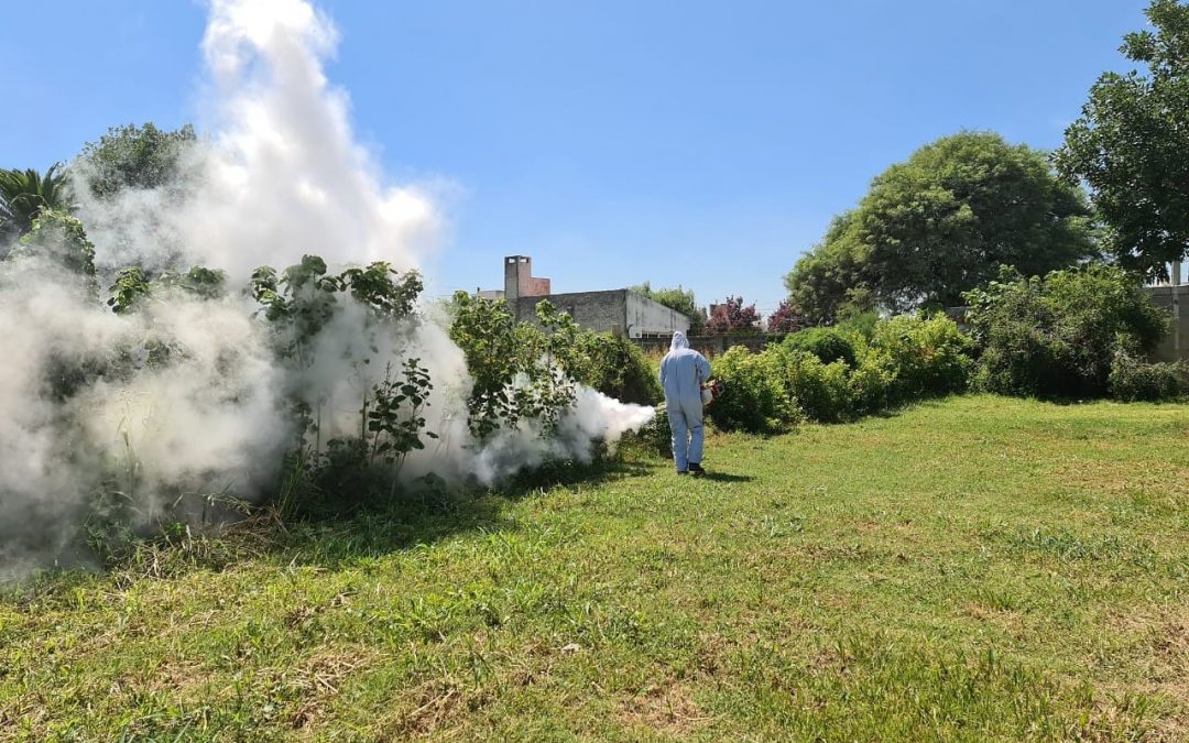 DENGUE: NOS CUIDEMOS ENTRE TODOS